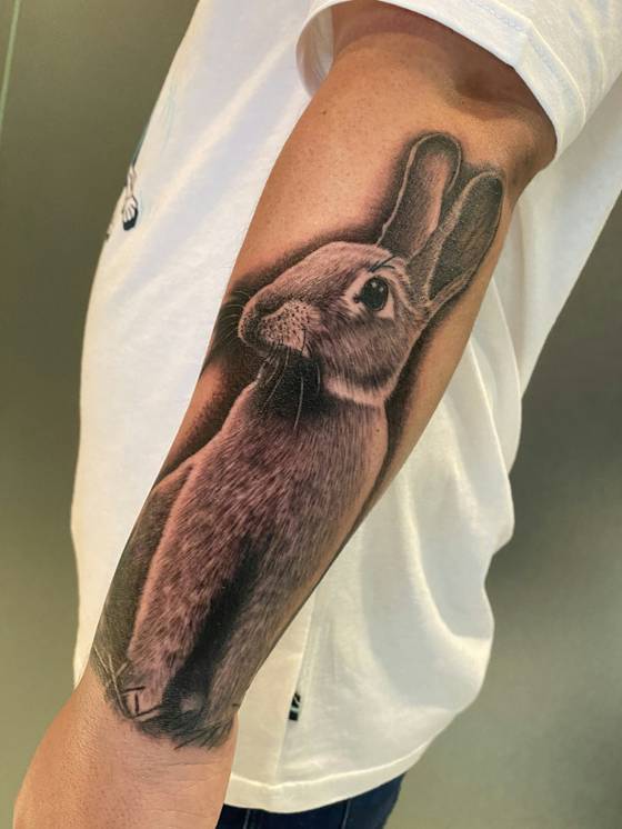 Lapin réaliste sur l'avant-bras (tatouage réaliste)