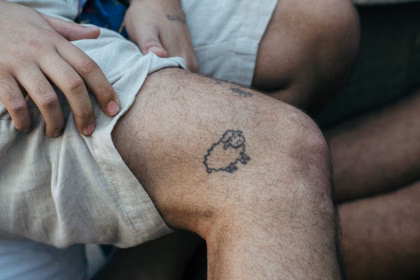 Mouton illustratif sur la jambe